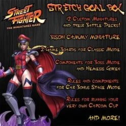 Street Fighter Miniatures Game Kickstarter Stretch Goal Box